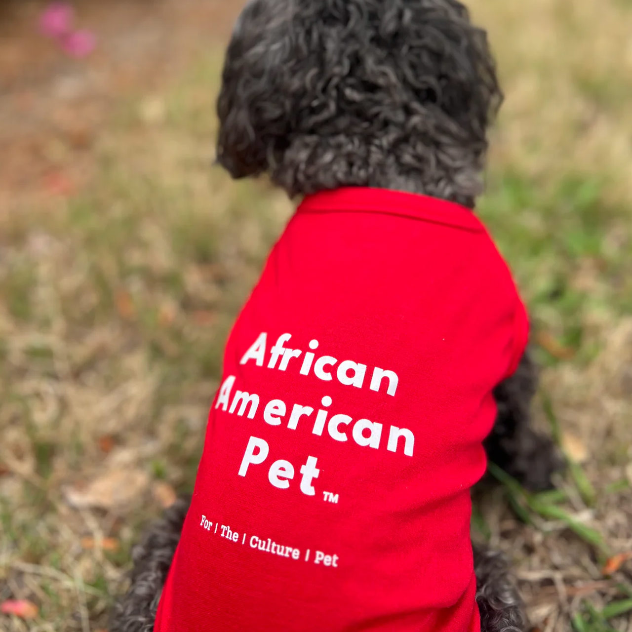 African American Pet Tee