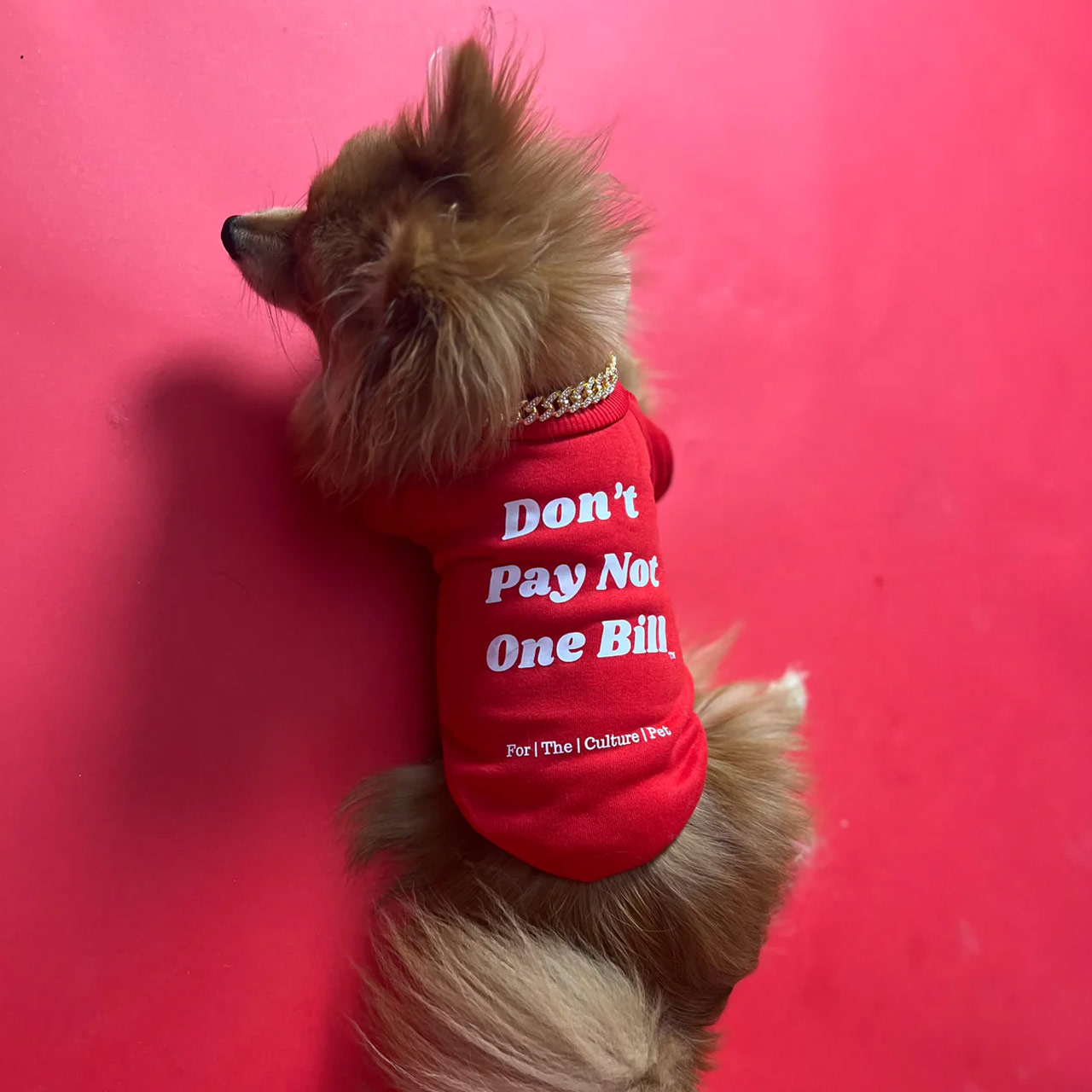 Don’t Pay Not One Bill T-Shirt